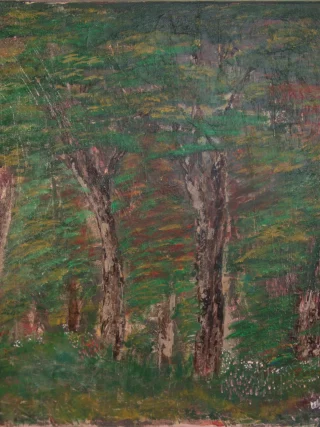 The serene beauty of the Montseny Forest is beautifully captured in this stunning acrylic painting, showcasing the enchanting essence of this iconic Spanish landscape. Rich greens of the towering trees dominate the canvas, with warm, dappled sunlight filtering through the leaves, illuminating the forest below. Vivid brushstrokes convey the gentle rustle of the foliage and the soft glow of light on the forest floor, creating a tranquil atmosphere that evokes a deep connection to nature. Textured layers of paint add depth and life to the scene, while subtle hints of earthy browns and vibrant wildflower colors enhance the charm of this idyllic setting. Celebrating the natural beauty of Montseny, this artwork inspires feelings of peace and reflection, making it a perfect addition to any space dedicated to relaxation and inspiration. Ideal for nature lovers and art enthusiasts alike, it serves as a poignant reminder of the timeless allure of the outdoors. Display this painting in your home, office, or gallery to inspire conversations about nature conservation and the importance of preserving our precious forests. The Montseny Forest Acrylic Painting is an artistic homage to the spirit of the wild and a call to safeguard these beautiful habitats for future generations.