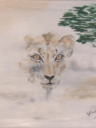 The Young King Acrylic Lion Painting beautifully captures the innocence and charisma of a young male lion cub. With warm tones of golden ochre and soft browns, the painting highlights the cub’s playful demeanor and ever-curious gaze. The artist has expertly depicted the fine details in the cub's fur, showcasing its youthful fluffiness and the subtle variation of colors that bring it to life. With its big, sparkling eyes and gentle expression, this young lion cub embodies both vulnerability and promise, hinting at the future greatness that lies ahead. The background features a soft blend of greens and yellows, suggesting a lush savannah habitat filled with vitality and potential, reflective of the cub’s early steps into a vast, exciting world. This painting invites viewers to appreciate the beauty of youth and the journey of growth. It inspires a sense of joy and affection for wildlife, reminding us of the importance of nurturing innocence while recognizing the inherent strength waiting to unfold. Perfect for a child's room, a wildlife enthusiast’s collection, or any space that celebrates nature, the Young King Acrylic Lion Painting serves as a heartwarming reminder of the beauty and wonder of the natural world.