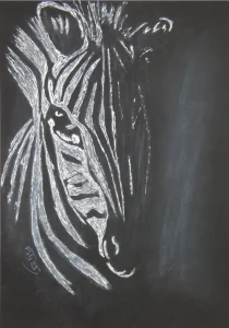 Zebra, White Marker, Drawing